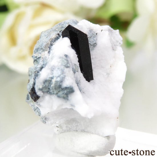 ե˥ ͥץʥȤդ뾽ʸС 3.6gμ̿0 cute stone