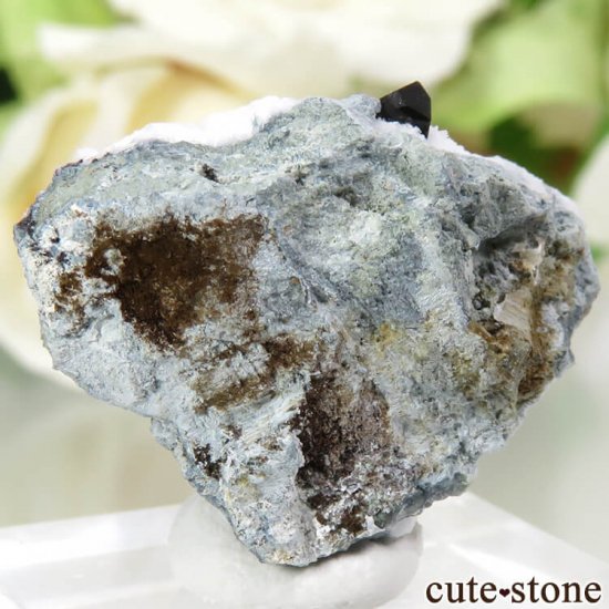 ե˥ ͥץʥȤդ뾽ʸС 3.6gμ̿1 cute stone