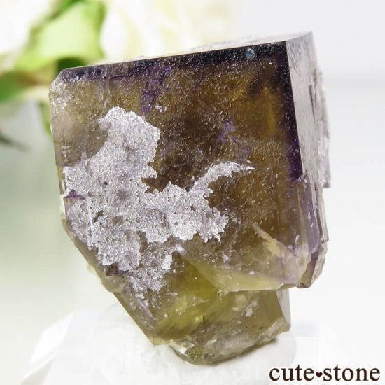 ɥĻ ߥѡץե饤Ȥη뾽 () 21gμ̿0 cute stone