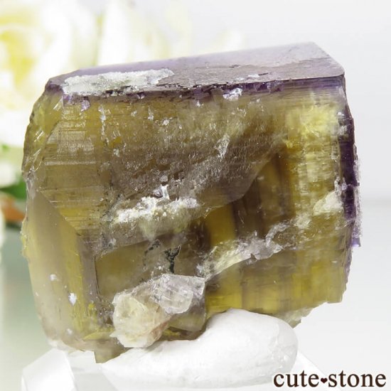 ɥĻ ߥѡץե饤Ȥη뾽 () 21gμ̿1 cute stone