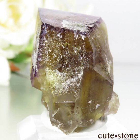 ɥĻ ߥѡץե饤Ȥη뾽 () 21gμ̿2 cute stone