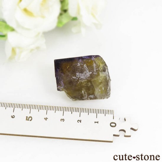 ɥĻ ߥѡץե饤Ȥη뾽 () 21gμ̿5 cute stone