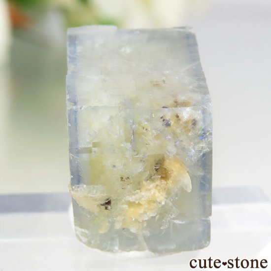 ɥ Dorfel Quarry ߥ饤ȥ֥롼ե饤 4gμ̿0 cute stone