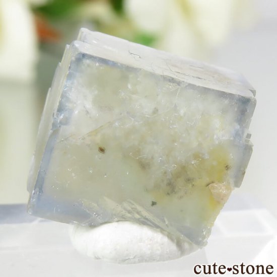 ɥ Dorfel Quarry ߥ饤ȥ֥롼ե饤 4gμ̿1 cute stone