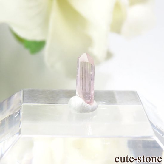 ԥ󥯥ȥѡʥڥꥢȥѡˤη뾽ʸС 0.2ctμ̿1 cute stone
