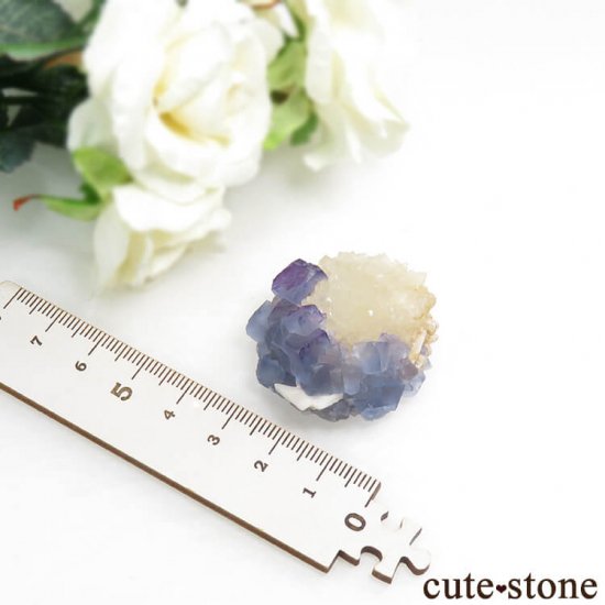 ˥塼ᥭ ֥롼ե饤&ġХ饤Ȥθ 27.3gμ̿3 cute stone