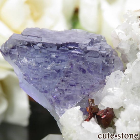  Shangbao Mine ե饤ȡĤդ 27.1gμ̿3 cute stone