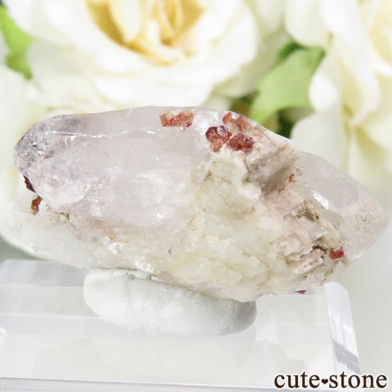 ѥ ڥƥ󥬡ͥåȡĤη뾽ʸС13.9gμ̿1 cute stone