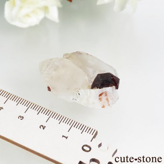 ѥ ڥƥ󥬡ͥåȡĤη뾽ʸС13.9gμ̿5 cute stone