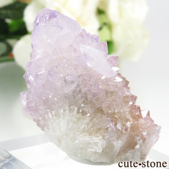 եꥫ ġʥ᥸ȡˤθ 35.8gμ̿0 cute stone