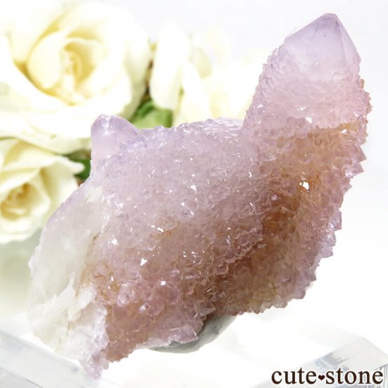 եꥫ ġʥ᥸ȡˤθ 46.8gμ̿0 cute stone