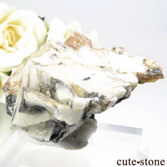 ѥ åȥ ȥѡդ뾽ʸС 73.9gμ̿1 cute stone