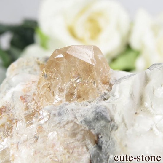 ѥ åȥ ȥѡդ뾽ʸС 73.9gμ̿2 cute stone