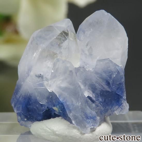 ֥饸뻺 ǥ饤ȥ󥯥Ĥθ 3.2gμ̿1 cute stone