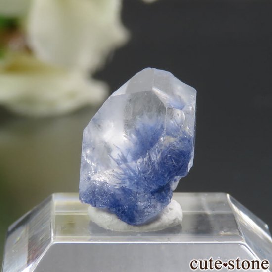 ֥饸뻺 ǥ饤ȥ󥯥Ĥθ 0.9gμ̿0 cute stone