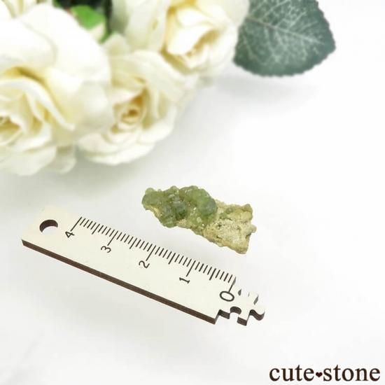 ޥ뻺ΥǥޥȥɥͥåȤդ 3.7gμ̿2 cute stone