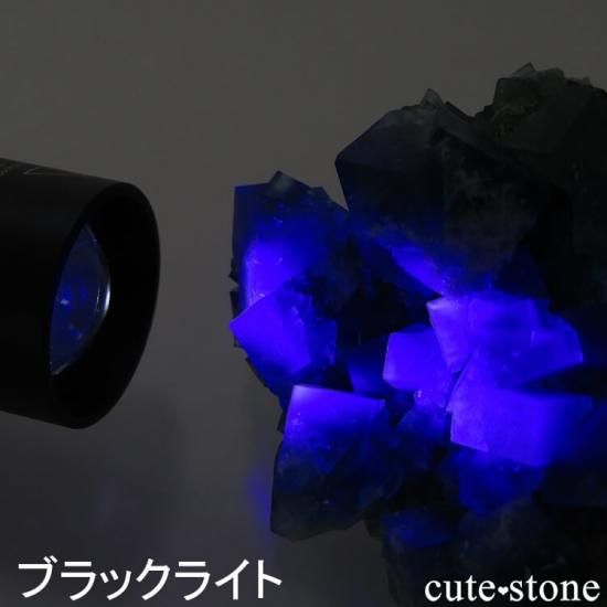 【2つのライトが切替可!】 可視光が少ないUV&LEDブラックライト(UV365nm 3W)の写真1 cute stone