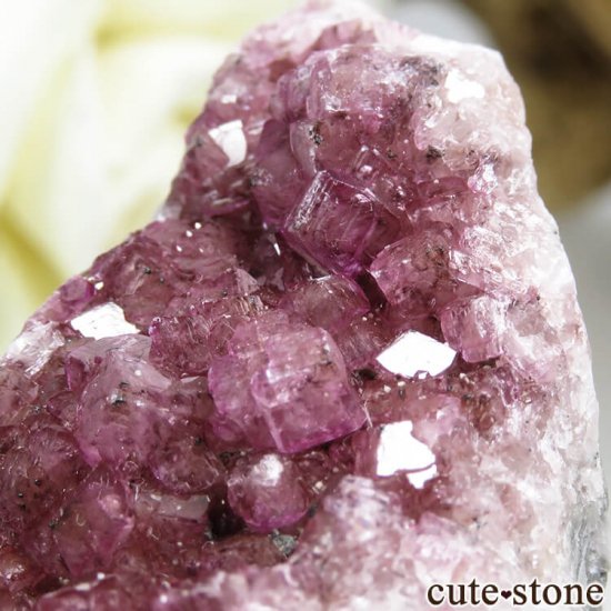󥴻 Хȥ륵ȤΥ饹ʸС72.6gμ̿3 cute stone