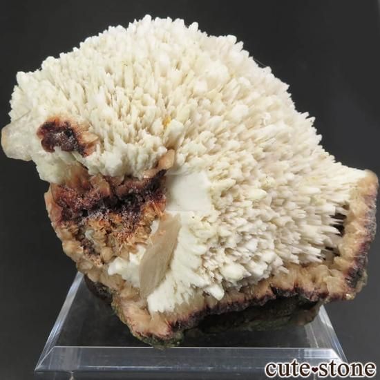  ץ͡ ǥʥȤθ 247gμ̿1 cute stone