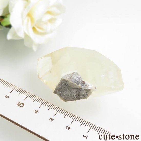 ०åɹۻ 륵Ȥդ뾽 42.5gμ̿3 cute stone