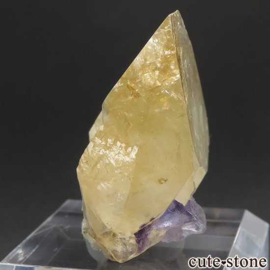 ०åɹۻ 륵ȡե饤ȡե饤 31.3gμ̿0 cute stone