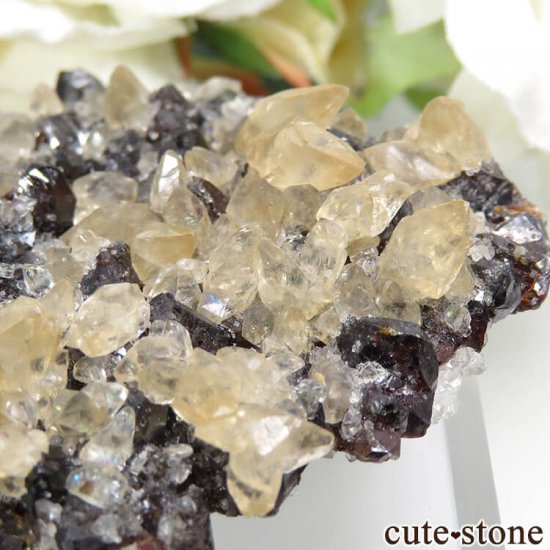 ०åɹۻ 륵ȡե饤 48.9gμ̿1 cute stone