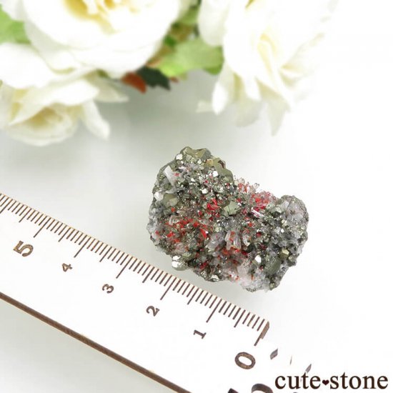 ڥ롼 ꥢ륬ѥ饤ȡĤθ 16.9gμ̿4 cute stone