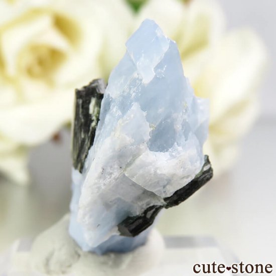 ꥫ ȥʥȤη뾽ʸС 8gμ̿1 cute stone