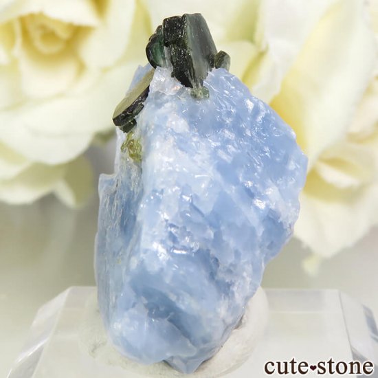 ꥫ ȥʥȤη뾽ʸС 9.7gμ̿0 cute stone