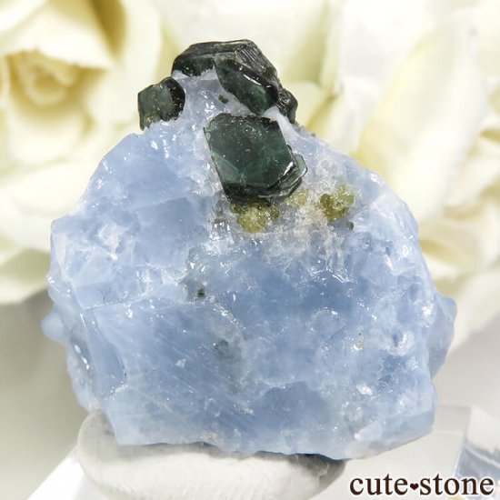 ꥫ ȥʥȤη뾽ʸС 9.7gμ̿1 cute stone