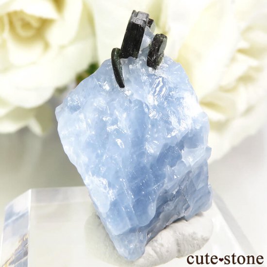 ꥫ ȥʥȤη뾽ʸС 9.7gμ̿2 cute stone