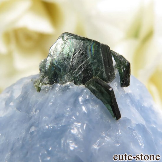 ꥫ ȥʥȤη뾽ʸС 9.7gμ̿3 cute stone