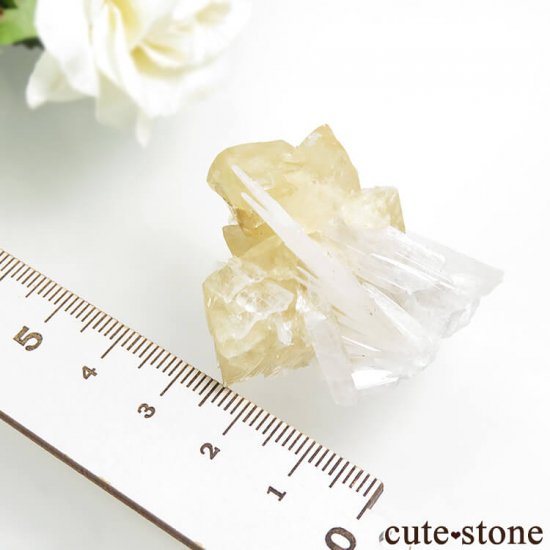 ꥫ ϥ 륵ȡ쥹Ȥθ 27.4gμ̿5 cute stone