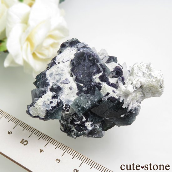  󥴥뻺 ˾뾽ե饤ȡ 129gμ̿5 cute stone