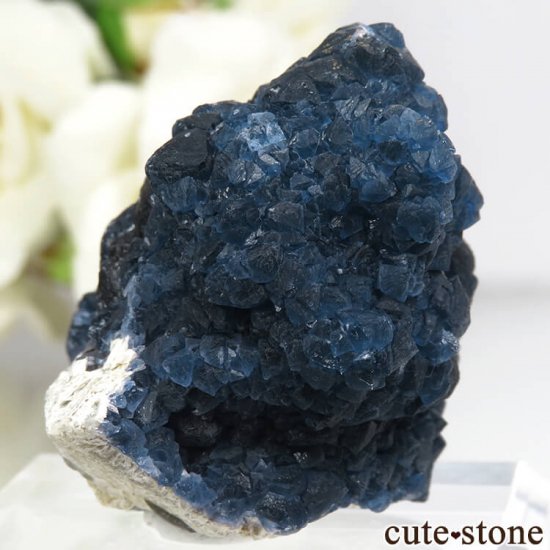  󥴥뻺 Huanggang ǥץ֥롼ե饤ȡĤθ 75gμ̿0 cute stone