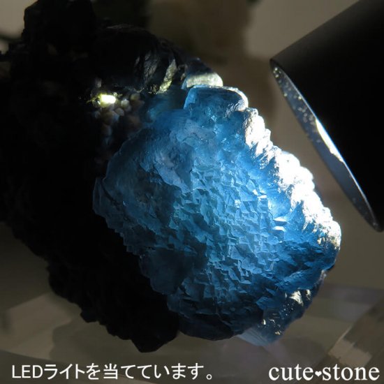  󥴥뻺 Huanggang ǥץ֥롼ե饤ȡĤθ 75gμ̿4 cute stone
