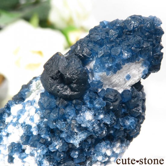  󥴥뻺 Huanggang ǥץ֥롼ե饤ȡĤθ 53gμ̿3 cute stone