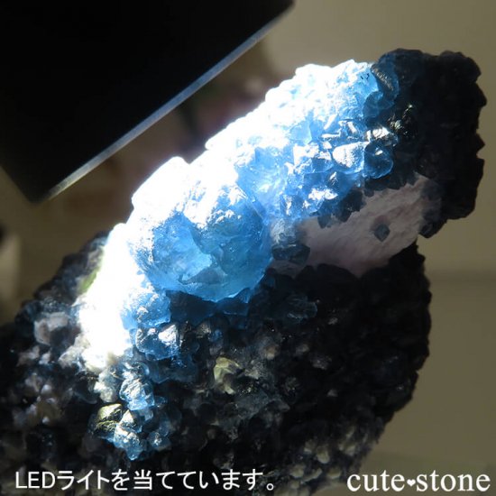  󥴥뻺 Huanggang ǥץ֥롼ե饤ȡĤθ 53gμ̿5 cute stone
