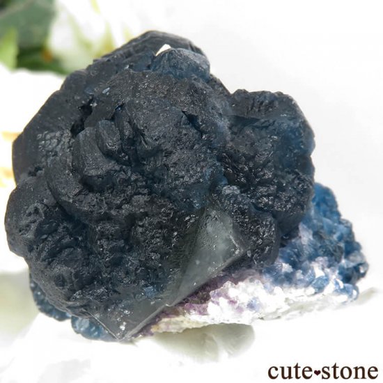  󥴥뻺 Huanggang ǥץ֥롼ե饤ȡ꡼ե饤ȡĤθ 79gμ̿1 cute stone