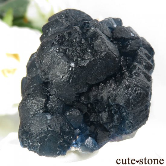  󥴥뻺 Huanggang ǥץ֥롼ե饤ȡ꡼ե饤ȡĤθ 79gμ̿2 cute stone
