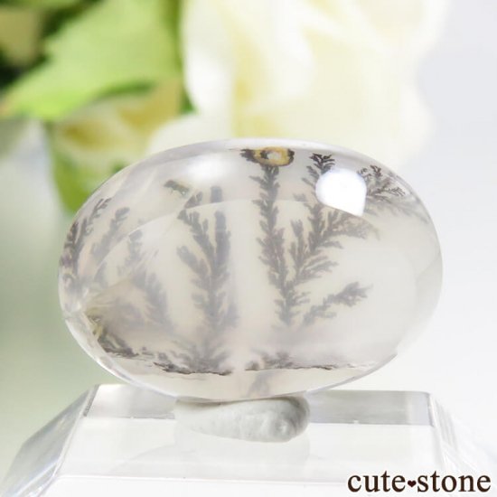 ֥饸뻺 ǥɥƥåĤΥ롼 5.6ctμ̿1 cute stone