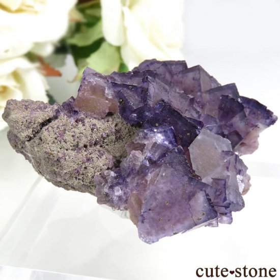 Υ Cave-in-Rock ѡץߥե饤ȡʷСˤդ뾽ʸС 57g μ̿0 cute stone