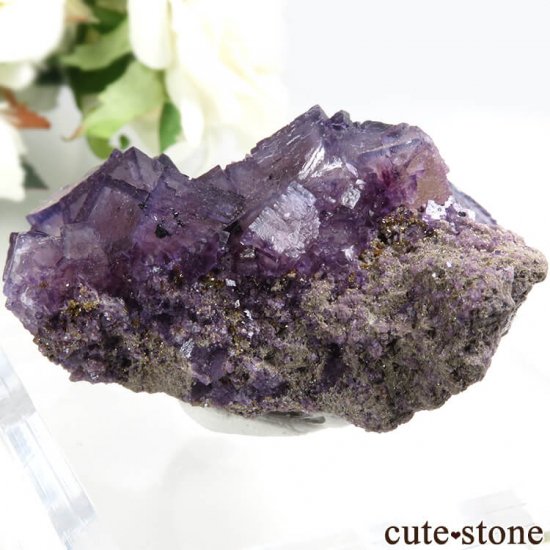 Υ Cave-in-Rock ѡץߥե饤ȡʷСˤդ뾽ʸС 57g μ̿1 cute stone