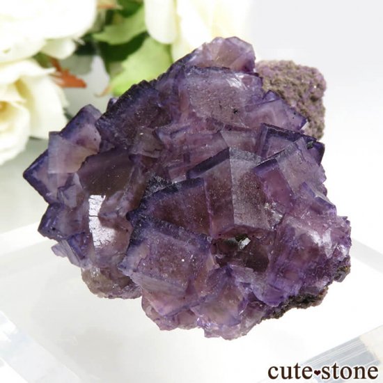 Υ Cave-in-Rock ѡץߥե饤ȡʷСˤդ뾽ʸС 57g μ̿2 cute stone