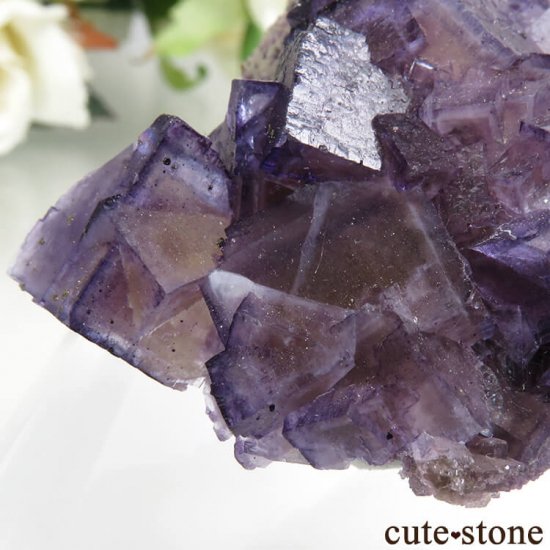 Υ Cave-in-Rock ѡץߥե饤ȡʷСˤդ뾽ʸС 57g μ̿4 cute stone