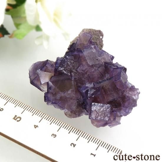 イリノイ州 Cave-in-Rock産 パープル×イエローフローライト(蛍 イリノイ州 Cave-in-Rock産 パープル×イエローフローライト(蛍