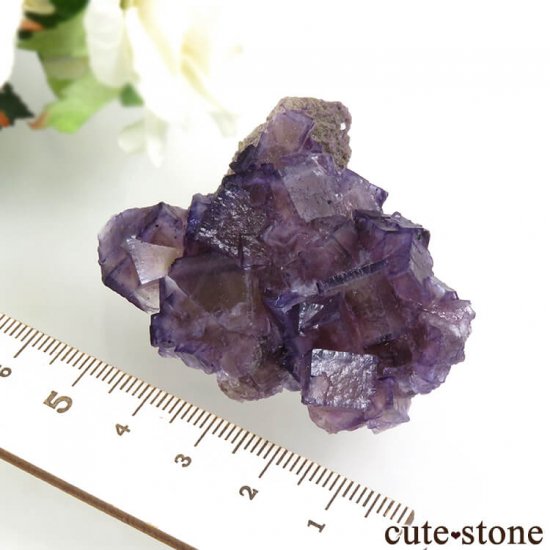 Υ Cave-in-Rock ѡץߥե饤ȡʷСˤդ뾽ʸС 57g μ̿5 cute stone