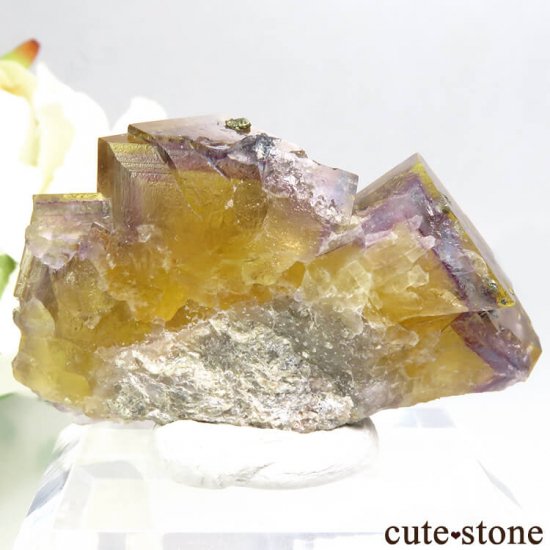 ɥ Frohnau ߥѡץߥ֥롼ե饤ȡѥ饤 25.3gμ̿1 cute stone