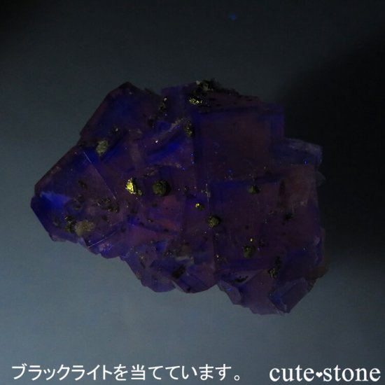 ɥ Frohnau ߥѡץߥ֥롼ե饤ȡѥ饤 25.3gμ̿6 cute stone