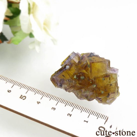 ɥ Frohnau ߥѡץߥ֥롼ե饤ȡѥ饤 25.3gμ̿7 cute stone